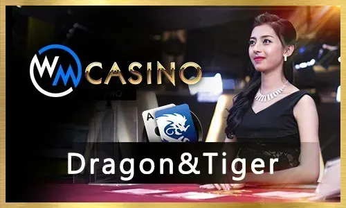 BigWin Casino Games